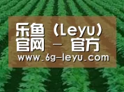 种植基地六