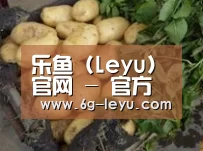 产品展示标题4