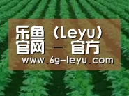 种植基地六(图1)