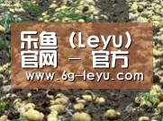 种植基地七