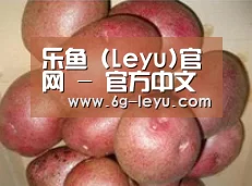 产品展示标题1