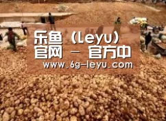 种植基地二