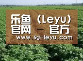 种植基地五