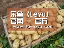 产品展示标题3