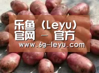产品展示标题5(图1)